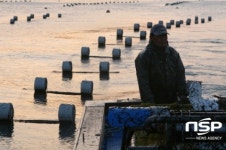 완도군 소안도, 태극기 예술 섬으로 가꾼다