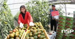 강진군, 새로운 명인·명품 탄생