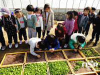 전주시, 시립양묘장서 '자연놀이터' 운영
