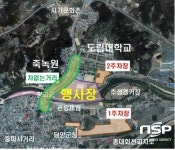 담양군, 담양대나무축제 차 없는 거리 ‘눈길’