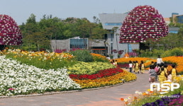 함평엑스포공원, 나비축제 후에도 꾸준히 관람객 찾아