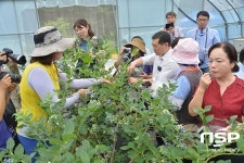 한국관광클럽, 순창군 농산물 팔아주기 운동