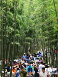 담양군, 여름 휴가철 내륙 관광 1번지 ‘우뚝’