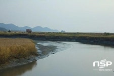 [떠나볼까] 갈대숲 소삭임을 듣는 순천만