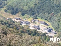 나주시 불회사 비자·차나무 숲,  산림청 ‘국가산림문화자산’ 지정