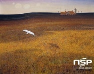 군산근대역사박물관, ‘진포에서 만난 작은 미술전’