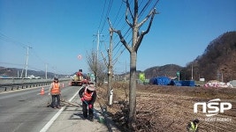임실군, 쾌적한 가로환경 조성 나서