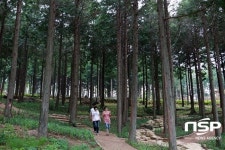 장흥군 편백숲 우드랜드,  ‘청정 공기’ 입증 연구 ‘눈길’