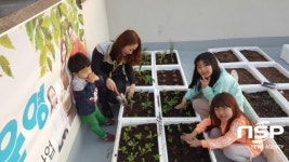광양 송보7차, 정 나누고 채소도 가꾸는 옥상텃밭 운영