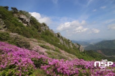 화순군, 백아산 철쭉 축제에 초대합니다