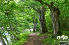 화순 연둔리 숲정이 나들이 코스로 ‘인기’