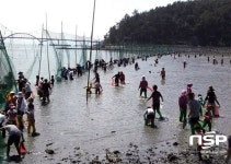 장흥군 “추석 연휴 가족과 함께 ‘개막이 체험’ 즐기세요”