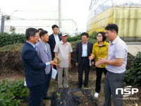 화순군, 기후변화대응 아열대 작목 ‘얌빈’ 수확 한창