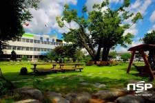 곡성군 석곡 죽산마을 ‘전통 엿 제조사업’ 날개