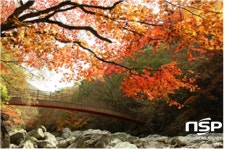 덕유산국립공원,  아름답게 물든 구천동계곡  단풍길