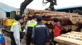  순천국유림관리소, 소나무류 이동 특별단속 실시 