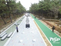  포항시, 남구 송도동 ‘송림숲 테마거리’ 준공 