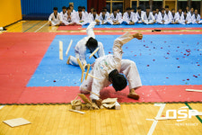  수원시 태권도 시범단, 러시아에 한국 알린다 