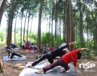  장성군 축령산 일대 ‘편백힐링특구’  지정 