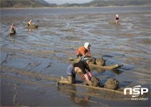  보성군, 벌교꼬막 자원회복 위한 연안바다목장 신규사업 확정 