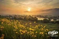  곡성군, ‘제1회 곡성군 소셜미디어 사진 공모전’ 수상작 선정·발표 