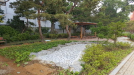  수원시, 올해 8개 학교에 숲 조성 