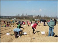  의왕시, 주말농장 농부체험 상자텃밭 식물병원 운영 