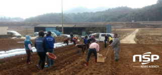  여수시 주삼동, ‘사랑의 농장’ 운영…복지기금 마련 