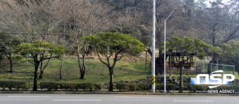  여수시, 전남도체육대회 대비 가로수·화단 정비 