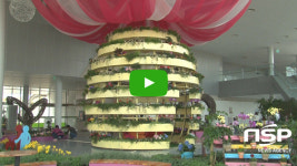  [NSPTV]순천시, 순천만국가정원 인테리어가든 오픈 봄꽃 향기 가득 