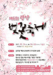  광양시 “금호동으로 ‘벚꽃’ 구경 오세요” 