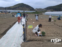  광양시 “가족과 함께 채소 키워 보세요” 