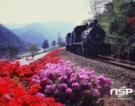  곡성군,  흐드러진 섬진강변 철쭉꽃 등 봄꽃 여행객에 손짓 