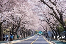 군산시, 은파호수공원 손님 맞이 총력 