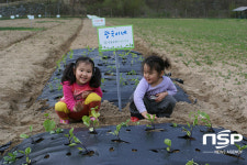  [가볼까]안동호반자연휴양림으로 봄 나들이 떠나 볼까요  