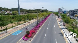  순천시, 녹색중앙분리대 조성···안전·미관개선 두 마리 토끼 잡는다 