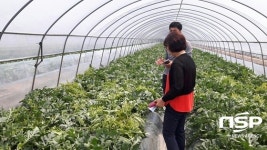  완주군, 해충밀도 급증 피해우려… 초기 신고 당부 