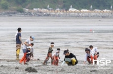  강진군 ‘비밀정원’ 초당림,  힐링 명소로 각광 