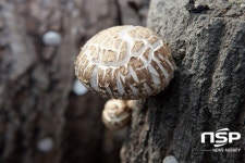  장흥군, 지역 명품관광 이끌 ‘9경·9미·9품’ 선정 