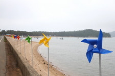  무안군 현경면, 홀통해변 가꾸기 