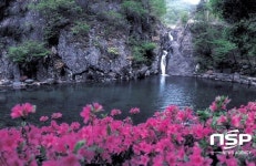  담양군 영산강 시원 ‘용소’, ‘국가산림문화자산’ 지정 