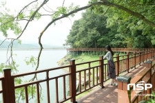  장성군 ‘장성호 수변길’, 새로운 관광·힐링 명소 부상 