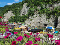  영덕군 달산면 옥계계곡 37경과 꽃잔치 피서지 명소 우뚝 