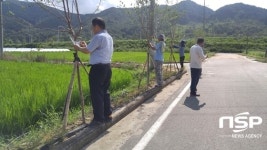  성주군, 수륜면 ‘우리동네 나무관리자’ 지정 