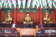  경북도 문화재위, 道 문화재 지정(5건) 및 지정대상 선정(7건) 