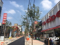  대구 달서구, 성서아울렛타운 도로구조개선 사업 완료 