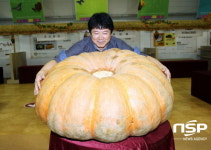  함평군, 13일 슈퍼호박 선발대회 개최 