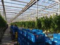  화성시, 경기도 농·식품 수출탑 4개소 선정돼 