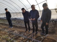  염동식 경기도부의장, 양주 부추농장 방문 