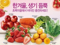  초록마을, 비타민충전상품전 진행 